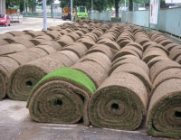 © wikimedia.org Rollrasen - Tolle Erfindung!