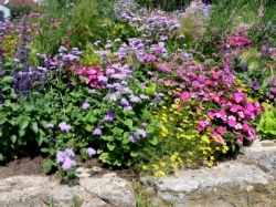 © Dieter Schütz / PIXELIO Schöner Garten mit Stauden