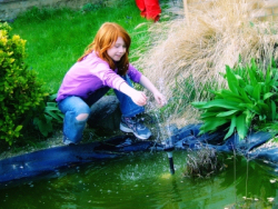 Der Gartenteich als Gefahrenquelle