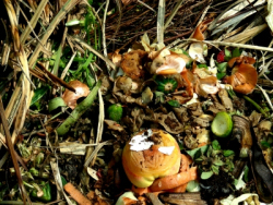 © Hartmut910 / PIXELIO Gartenabfälle entsorgen