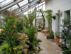 Frühjahrsputz im Wintergarten