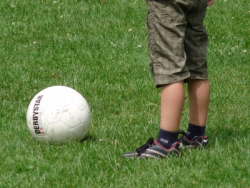 © Dieter Schütz / PIXELIO Spielrasen - Ideal für Kinder