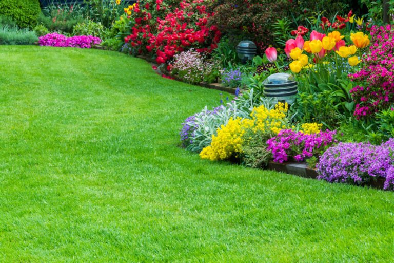 Zierrasen pflegen: 3 Tipps für einen schönen Rasen