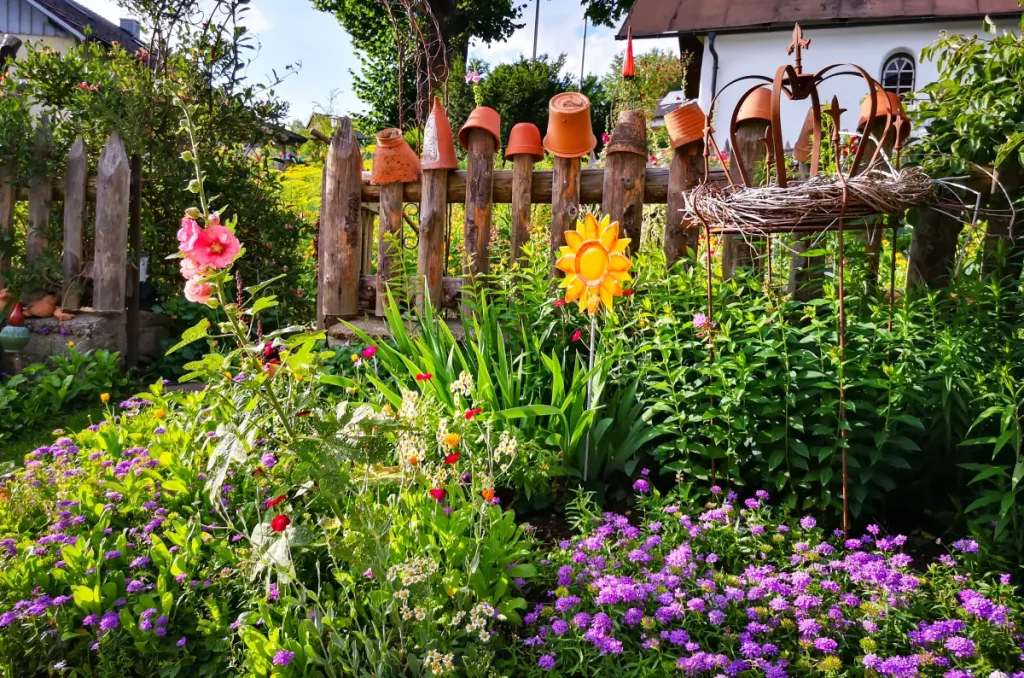 Bauerngarten mit Stockrosen, Schleifenblumen und Flammenblumen.