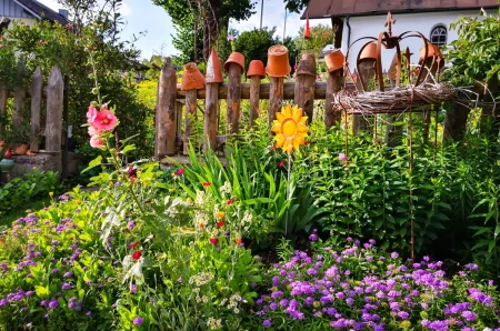 Bauerngarten mit Stockrosen, Schleifenblumen und Flammenblumen.