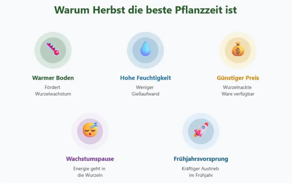 Winterharte Pflanzen pflanzen