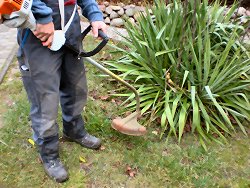 Rasentrimmer – Unverzichtbar zum Rasenkanten schneiden