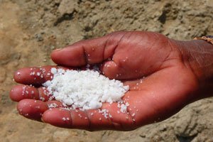 Salz hilft gegen Unkraut