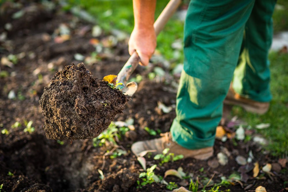 Tipps für den idealen Gartenboden