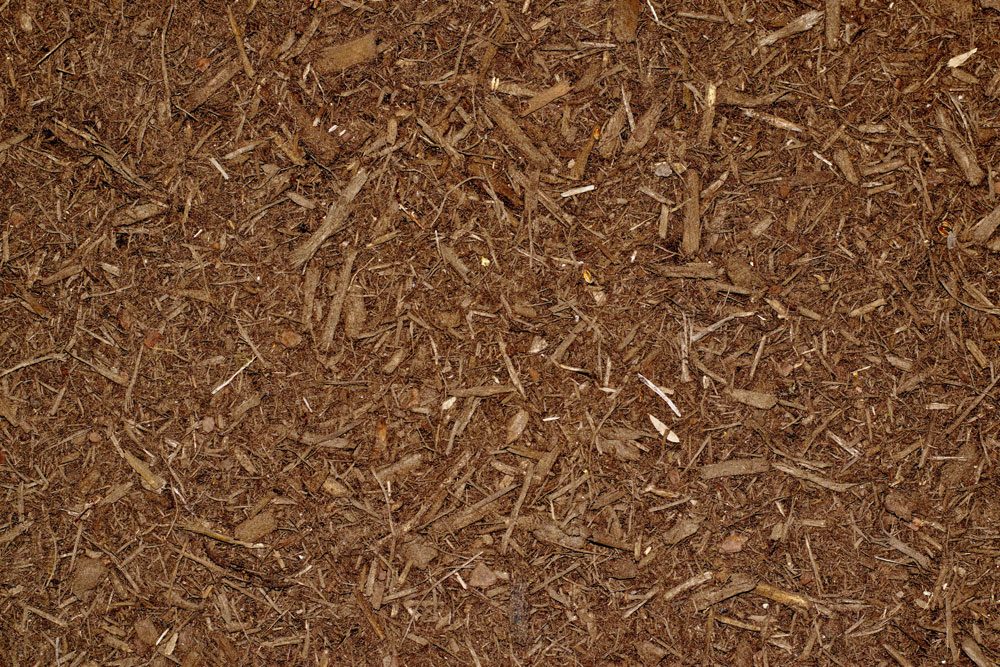 Rindenmulch Rindenhumus was ist das