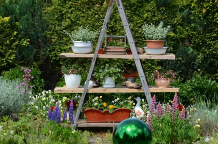 Pflanzen müssen nicht immer auf dem Boden wachsen.