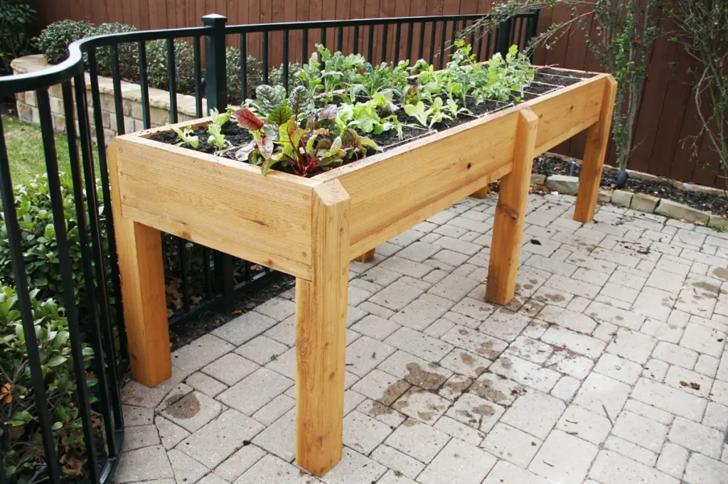 Tischbeet mit bequem erreichbarer Arbeitsfläche für Gartenarbeiten im Stehen oder Sitzen.