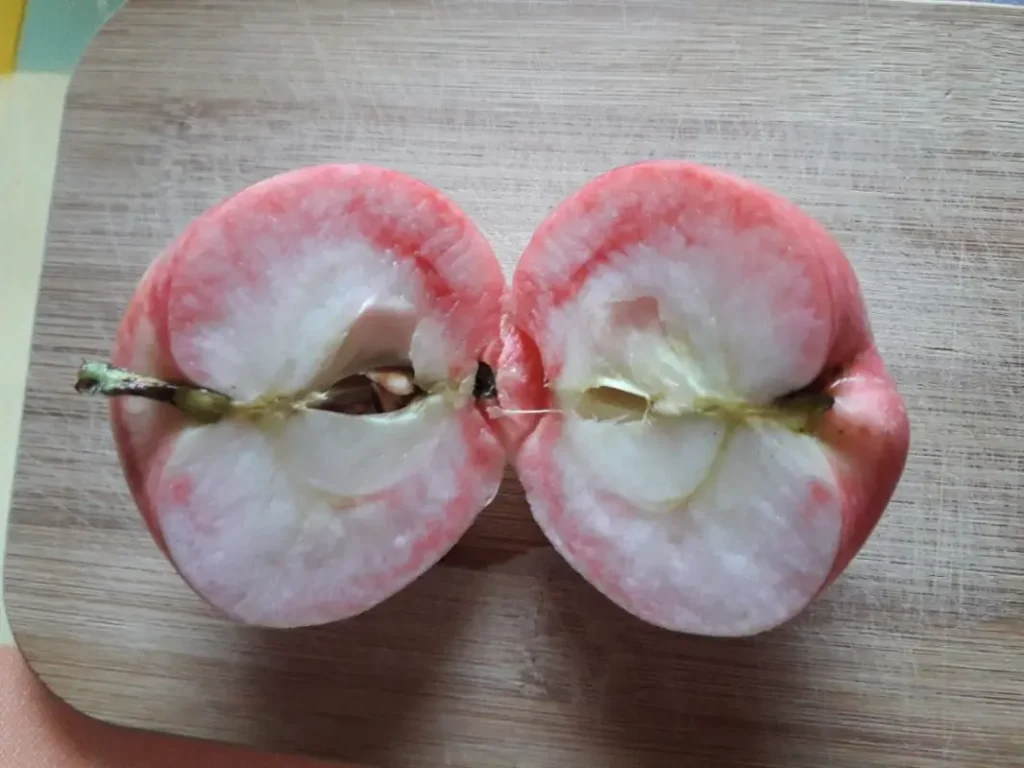 Herbstapfel Gravensteiner aufgeschnitten.
