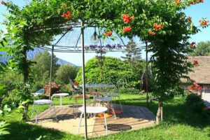 Trompetenblume für Pergola