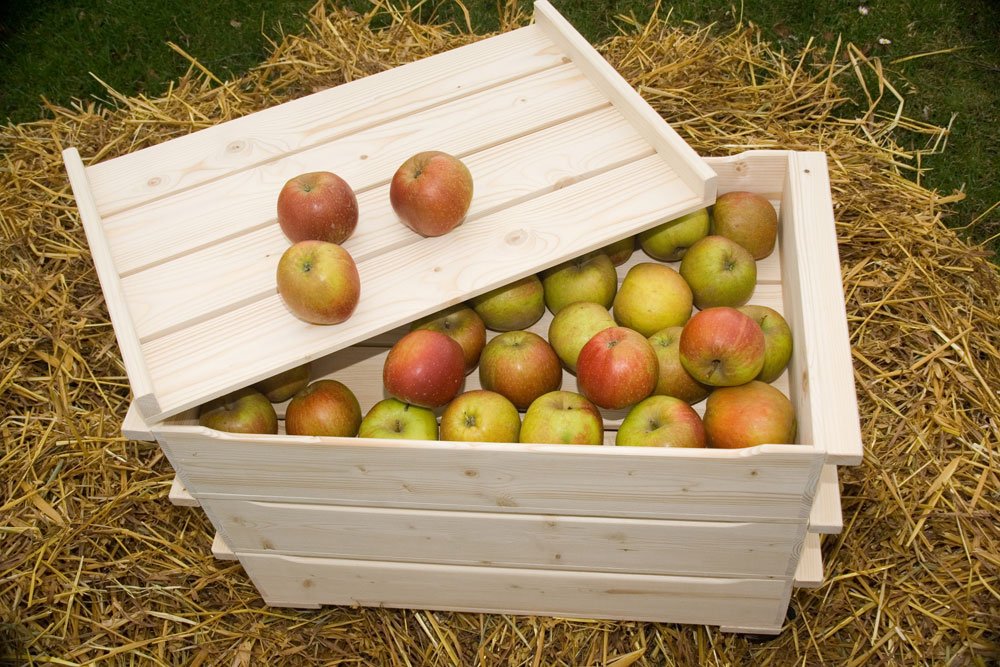 Äpfel einlagern