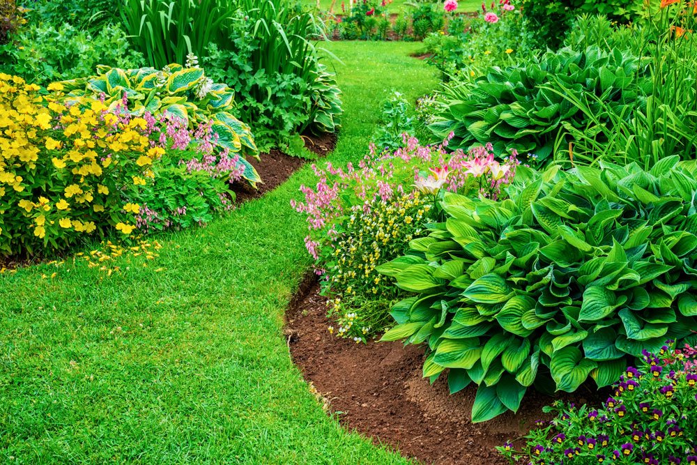 Englische Rasenkante – Tipps zur Abgrenzung Ihrer Beete von der Rasenfläche