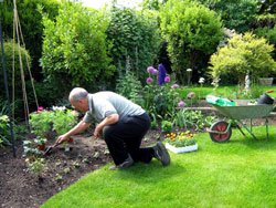 Gartenarbeit im Juli – 8 Aufgaben