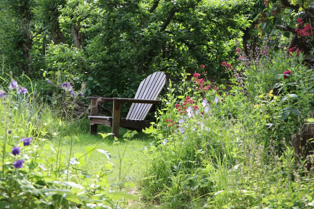 Naturgarten anlegen