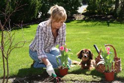 Rückenschonende Gartenarbeit – 5 Tipps
