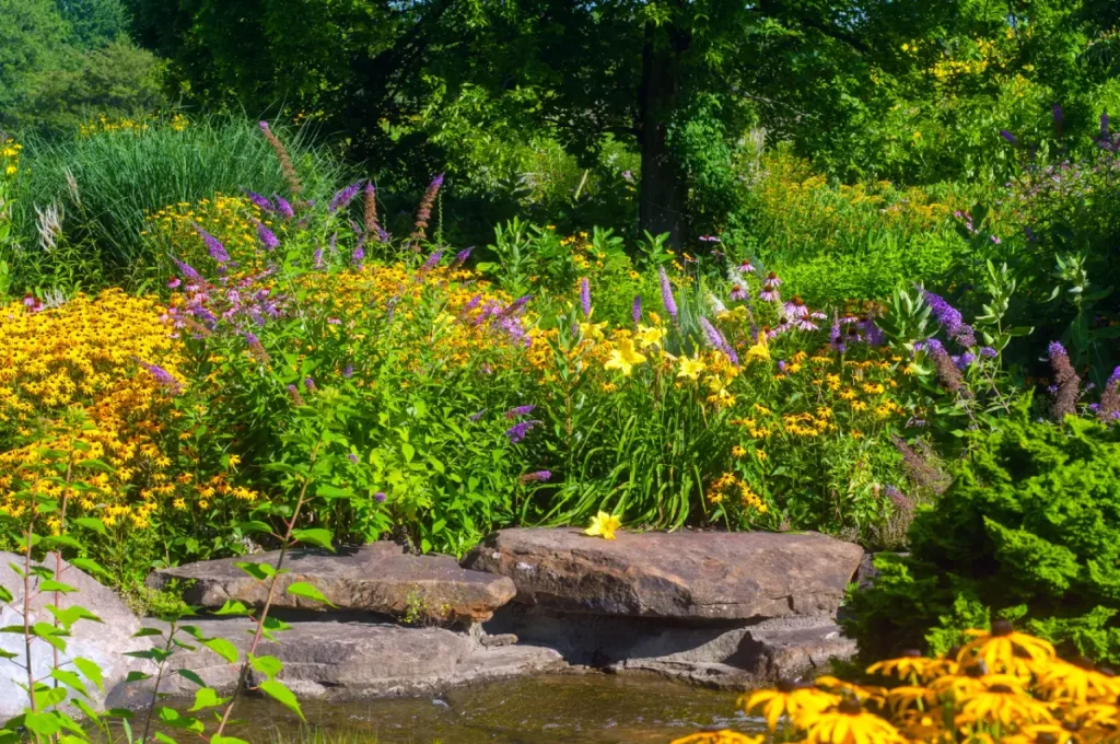 Bepflanzung am Gartenteich mit Sonnenhut, Taglilien, Schmetterlingsflieder und Chinaschilf.