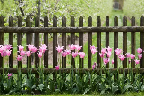 Luftiger Holzzaun, der den Garten optisch vergrößert.
