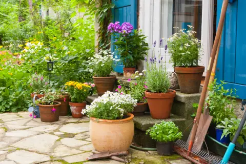 Pflanztöpfe mit bunten Blumen auf einer Terrasse.