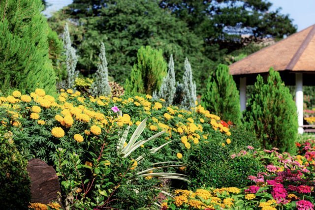 Garten im September Aufgaben, die Sie erledigen sollten