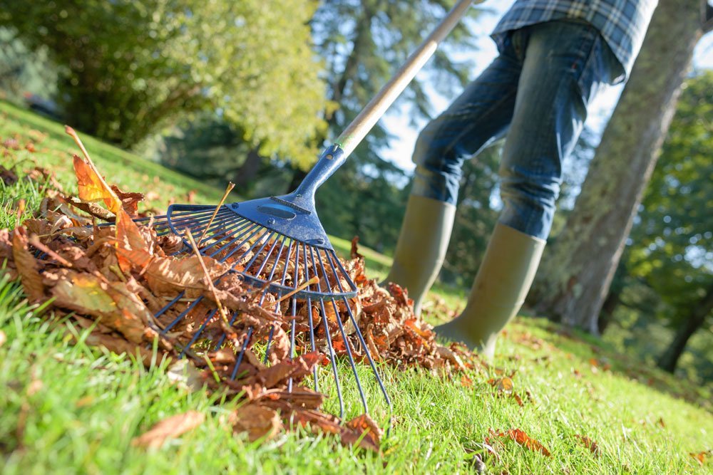 Gartenarbeit September - Laub harken