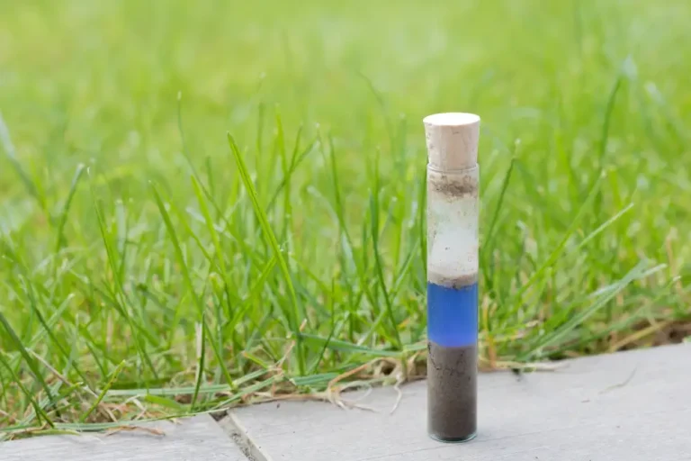 pH-Wert im Boden messen – So wird’s gemacht
