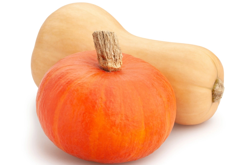 Ambercup-Kürbis vor einem Butternut-Kürbis zum Vergleich.