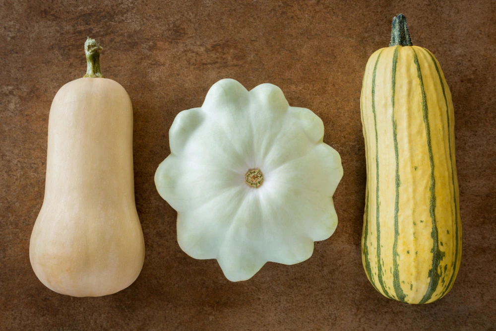 Delicata-Kürbis mit gestreifter Schale liegt neben UFO-Kürbis und Butternut zum Vergleich.