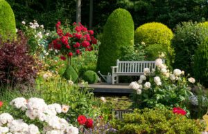 Rosen im Garten – Tipps für die Pflege