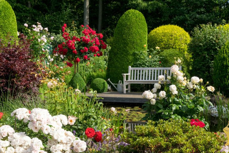 Rosen im Garten – 9 Tipps für die Pflege
