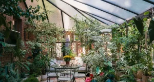 Wichtig im Wintergarten – die Höhe der Pflanzen