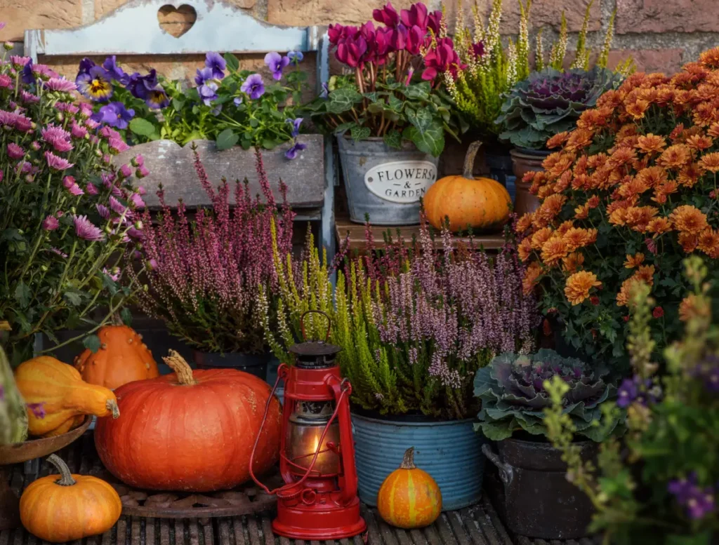 Garten im Herbst dekorieren