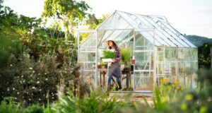 Gutes Klima im Gewächshaus – 4 Tipps