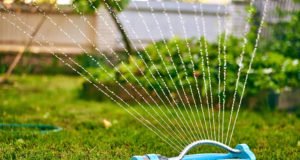 Gartenbewässerung Tipps