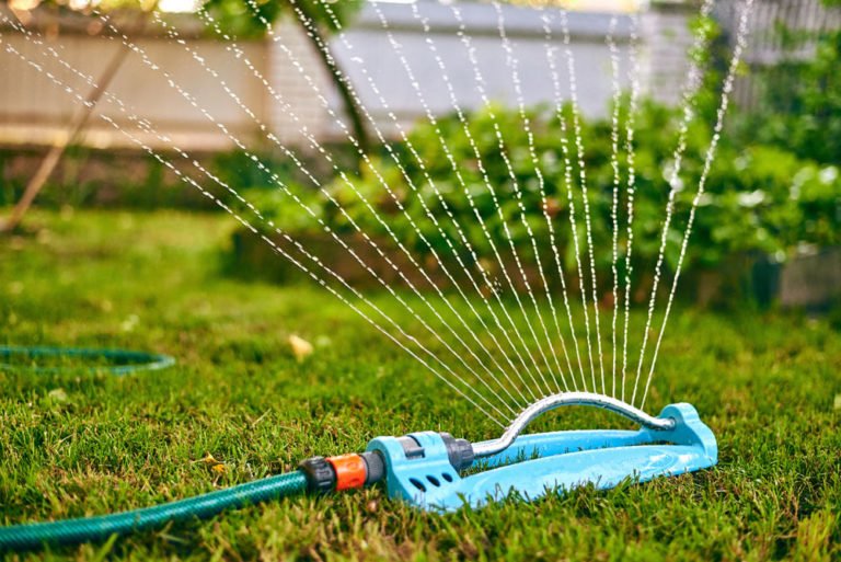 5 Tipps zur Gartenbewässerung
