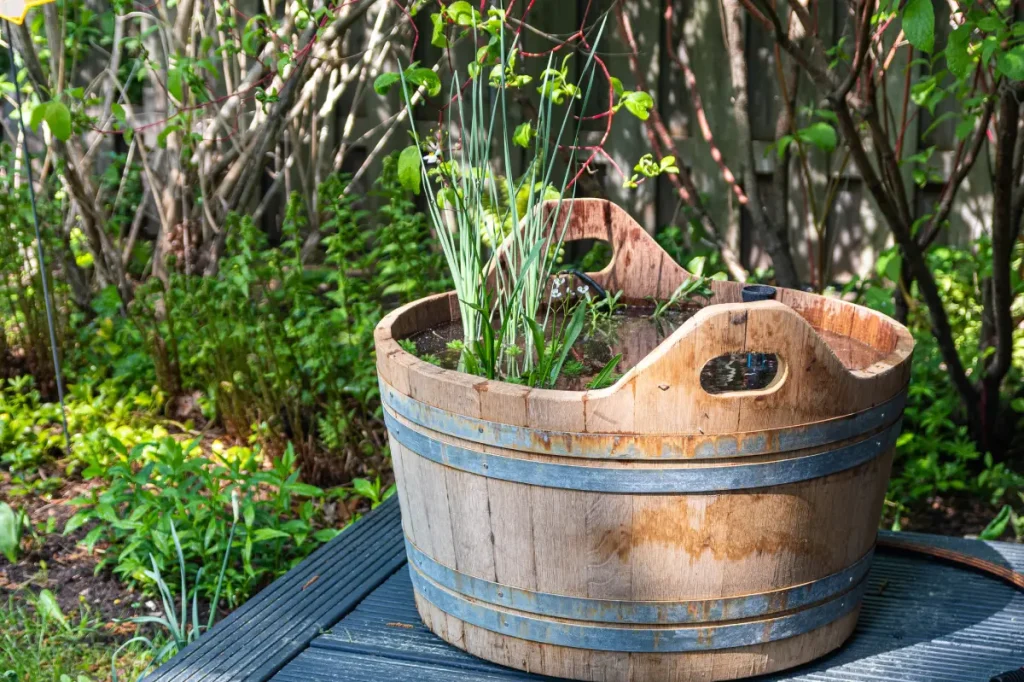 Holzfass als Miniteich.