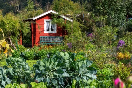 Schrebergarten Ideen