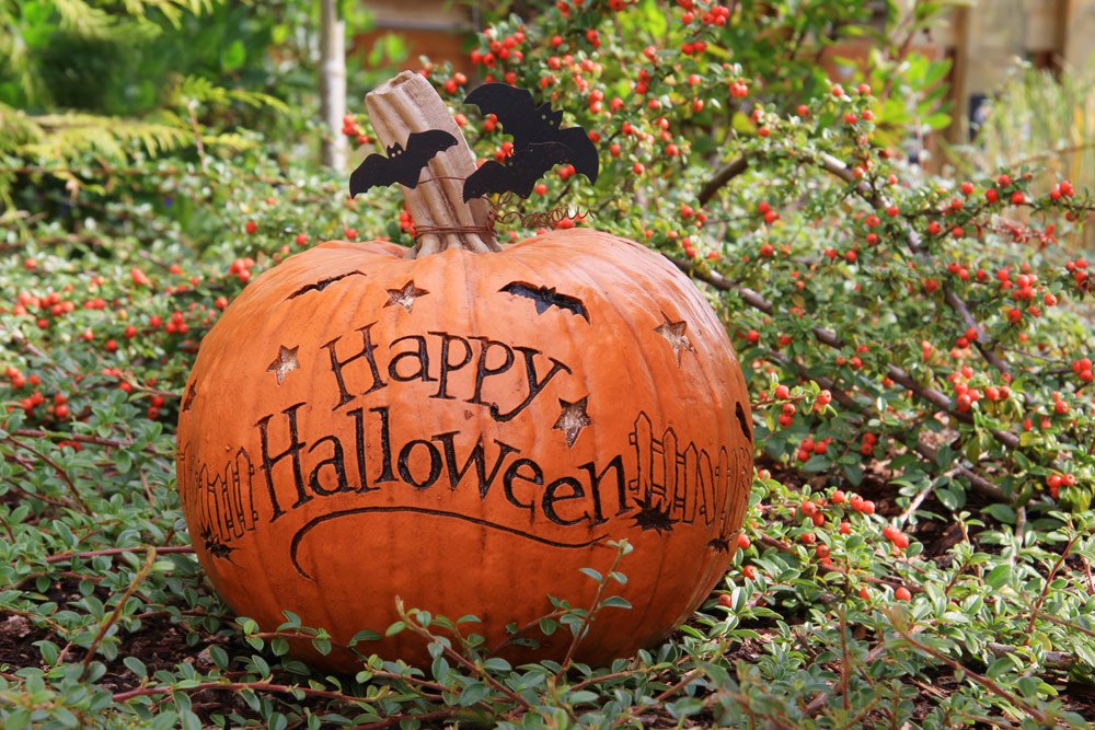 Halloween-Kürbis Gartenparty im Herbst