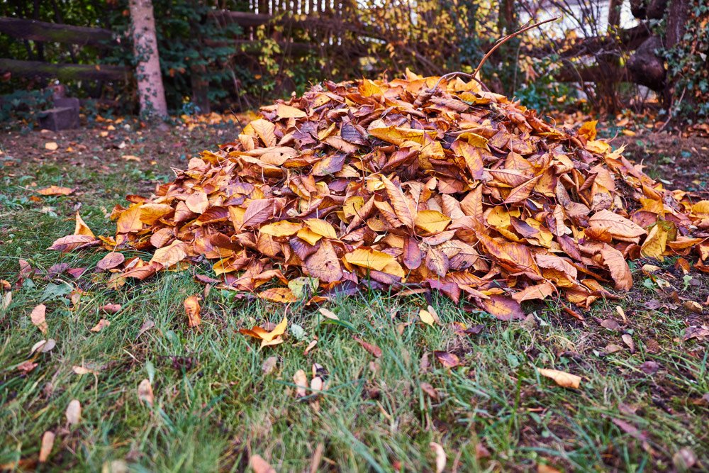 Laubhaufen als Winterquartier für Igel Laubhaufen als Winterquartier für Igel