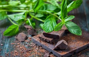 7 leckere Minze-Sorten vorgestellt