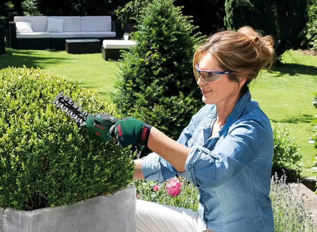 Frau schneidet Buchsbaum mit Akku-Heckenschere.