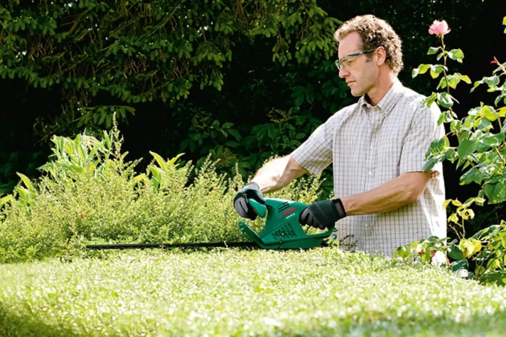 Mann schneidet Hecke mit Heckenschere.