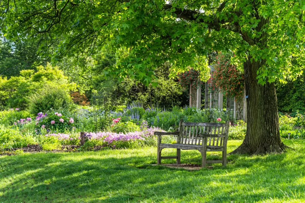 Eine Bank steht schattig unter einem Baum im Garten.