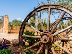 Garten im Westernstil