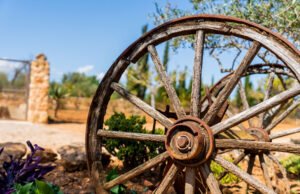 Garten im Westernstil