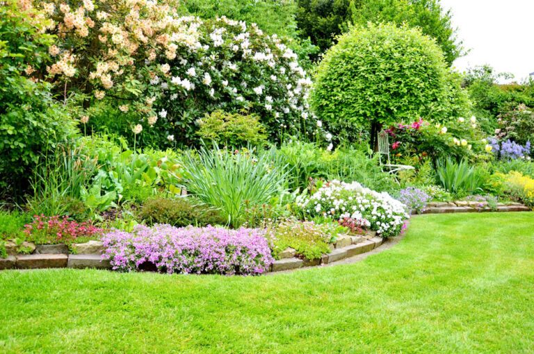 Unterpflanzungen im Garten – Pflanzenauswahl und Tipps fürs Anpflanzen