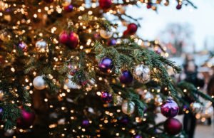 Weihnachtsbeleuchtung Garten